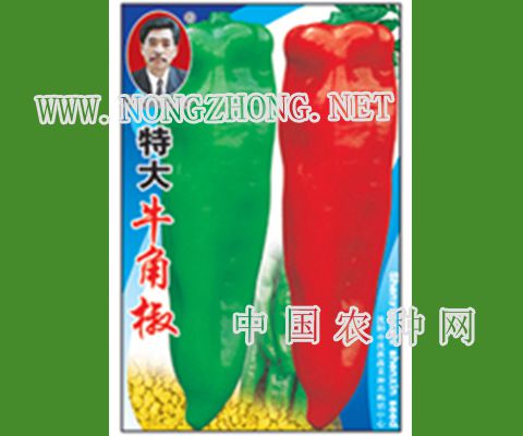 特大牛角椒